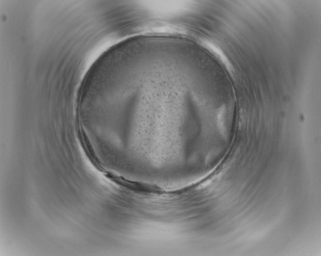 X0000088731483200706141626