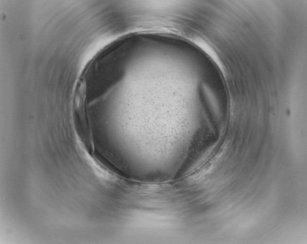 X0000088731485200706141625