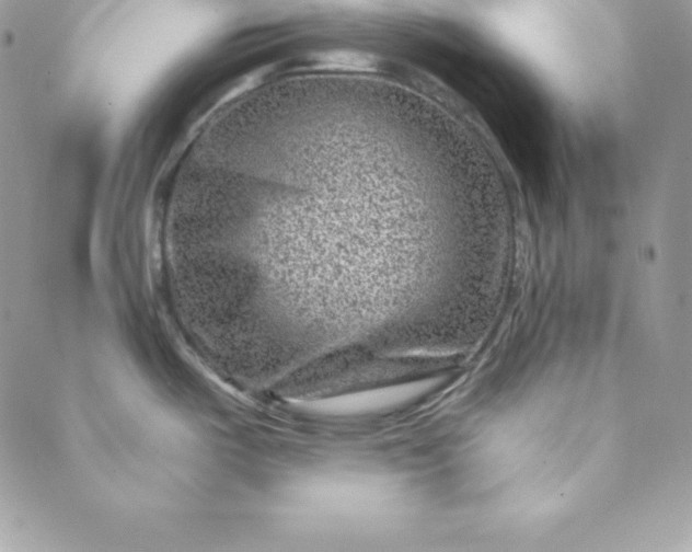 X0000088731487200706141625