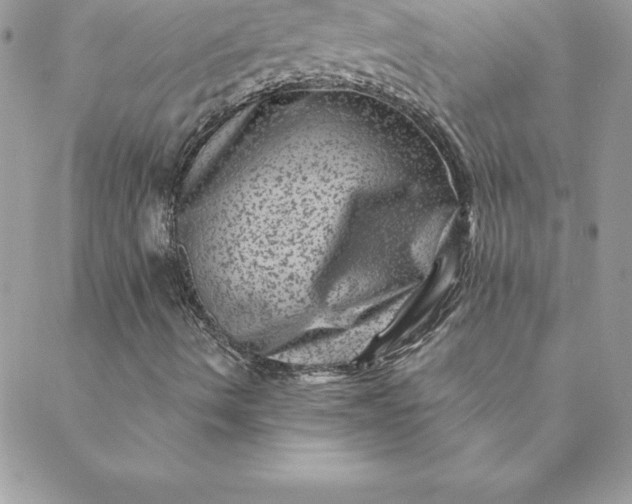 X0000088731490200706141625