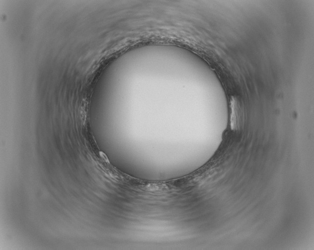 X0000088731491200706141625