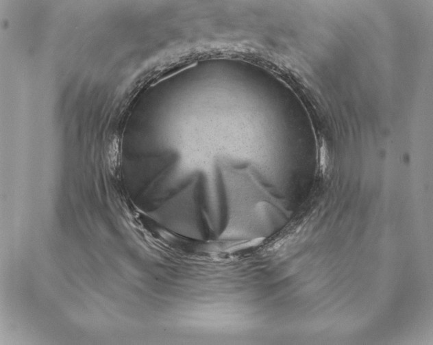 X0000088731492200706141625