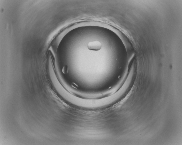 X0000088731502200706141625
