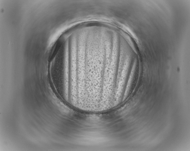 X0000088731504200706141625