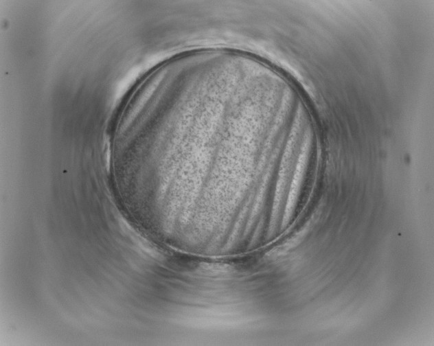 X0000088731509200706141625
