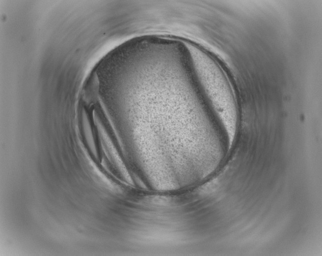 X0000088731517200706141625