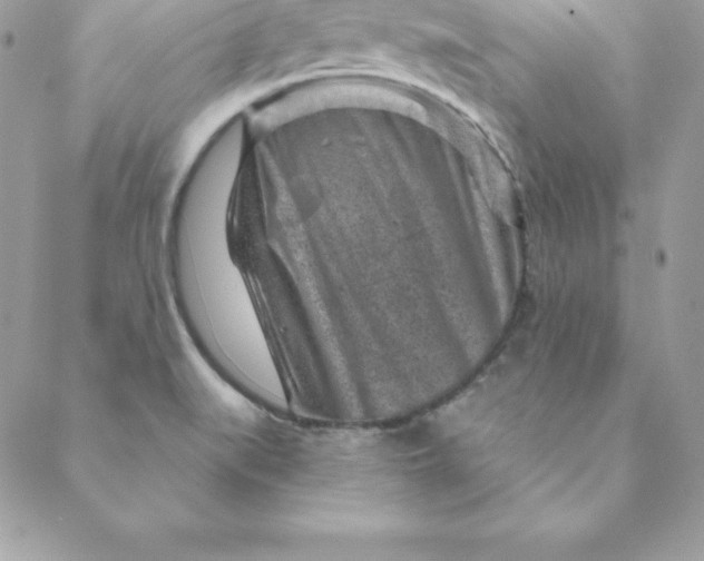 X0000088731519200706141625