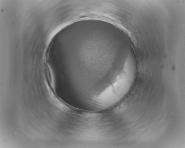 X0000088731522200706141625