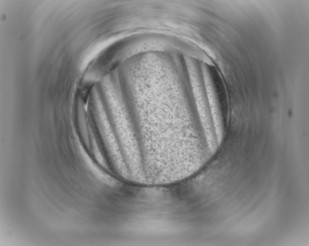 X0000088731523200706141625