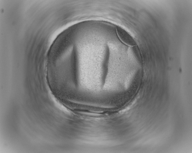 X0000088731526200706141625