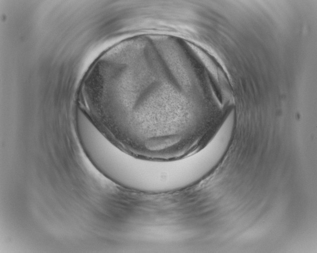 X0000088731531200706141625