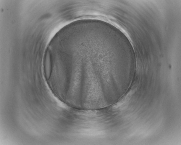 X0000088731533200706141625