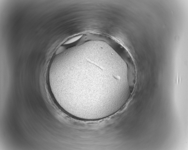 X0000088730001200706212047