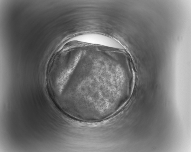 X0000088730002200706212047