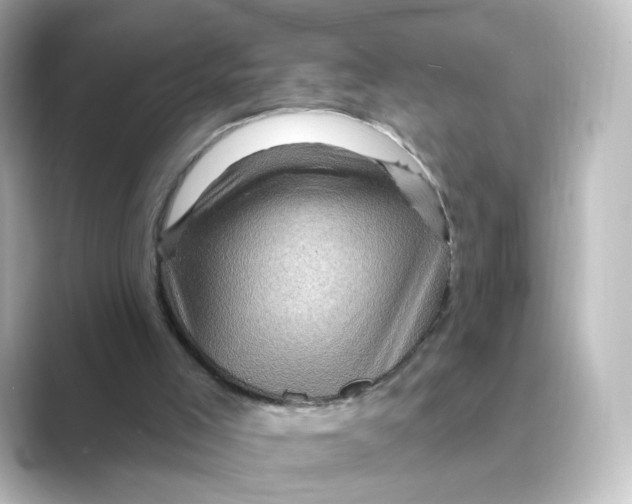 X0000088730005200706212047