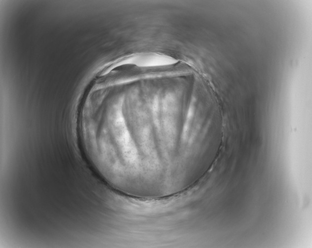 X0000088730006200706212047