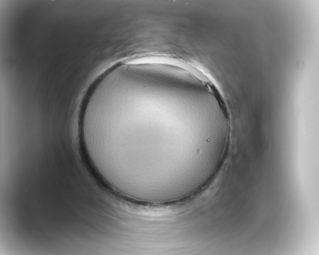 X0000088730008200706212047