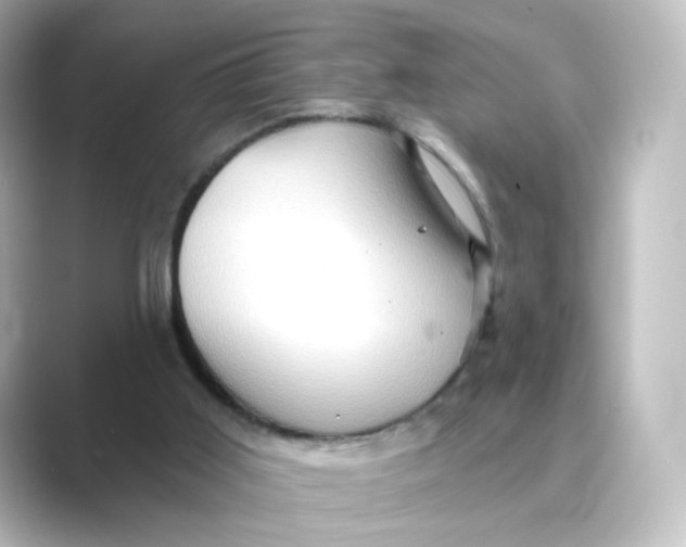 X0000088730011200706212047