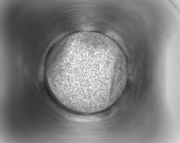 X0000088730012200706212047