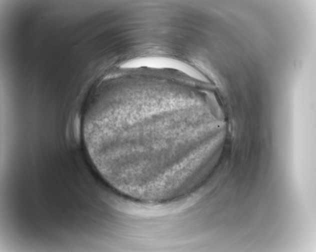 X0000088730014200706212047