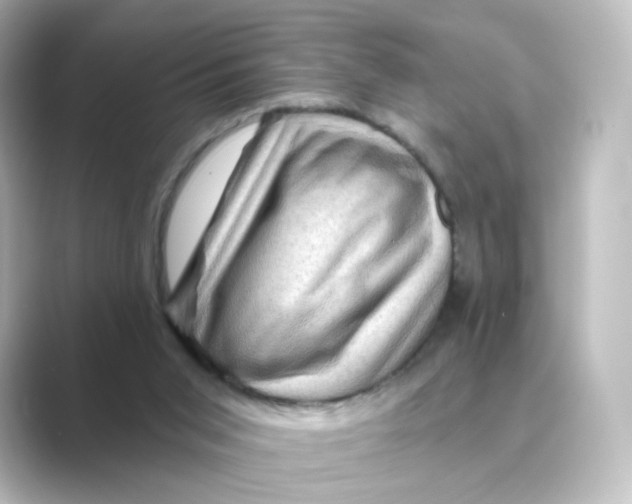 X0000088730015200706212047