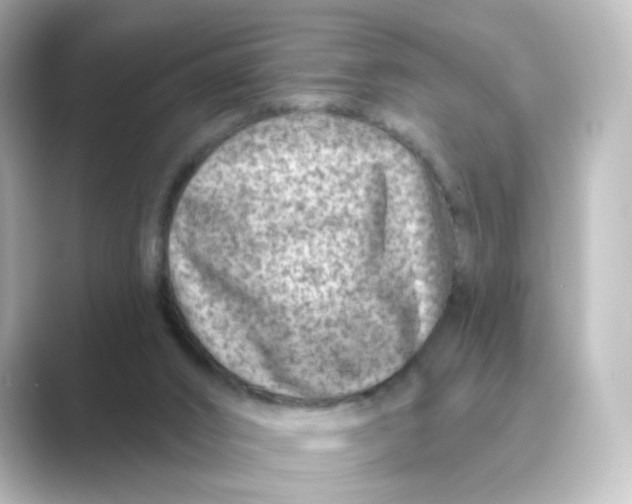 X0000088730016200706212047