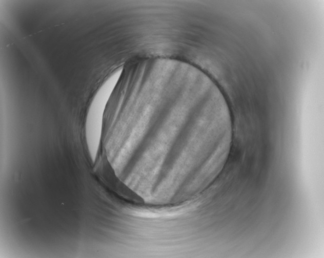 X0000088730017200706212047