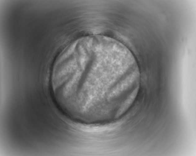 X0000088730018200706212047