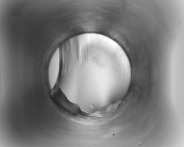 X0000088730019200706212047