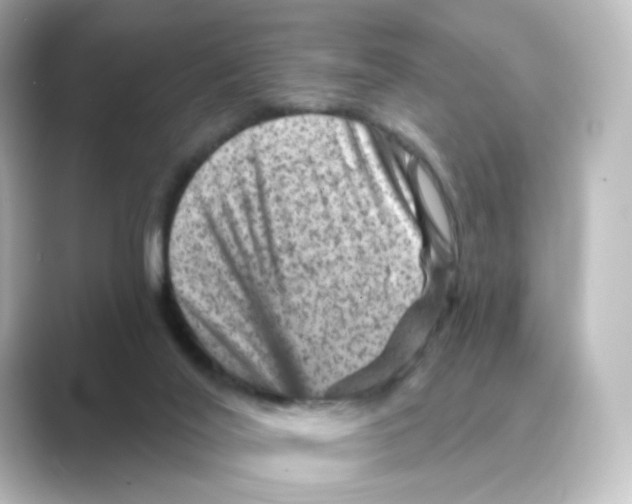 X0000088730020200706212047