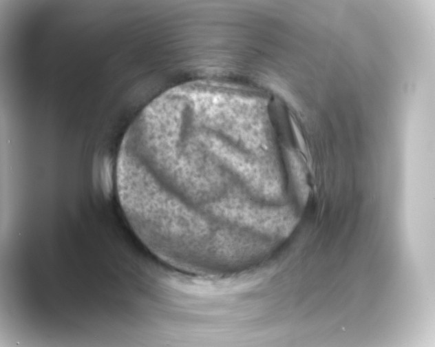 X0000088730022200706212047