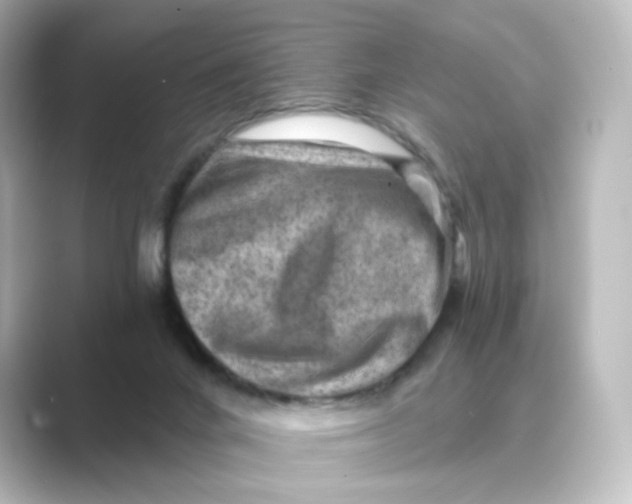 X0000088730024200706212047