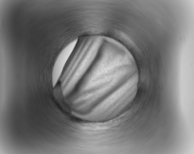 X0000088730025200706212047