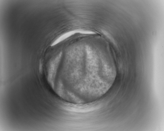 X0000088730026200706212047