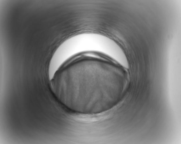 X0000088730029200706212047