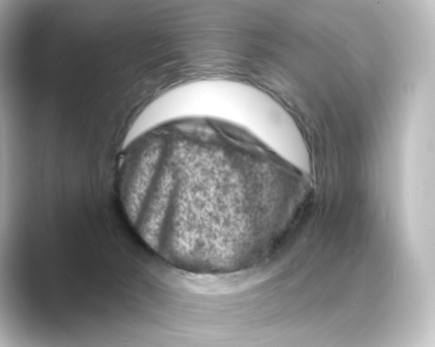 X0000088730030200706212047