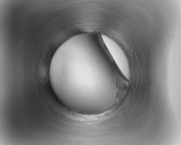 X0000088730031200706212047