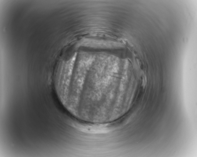 X0000088730032200706212047