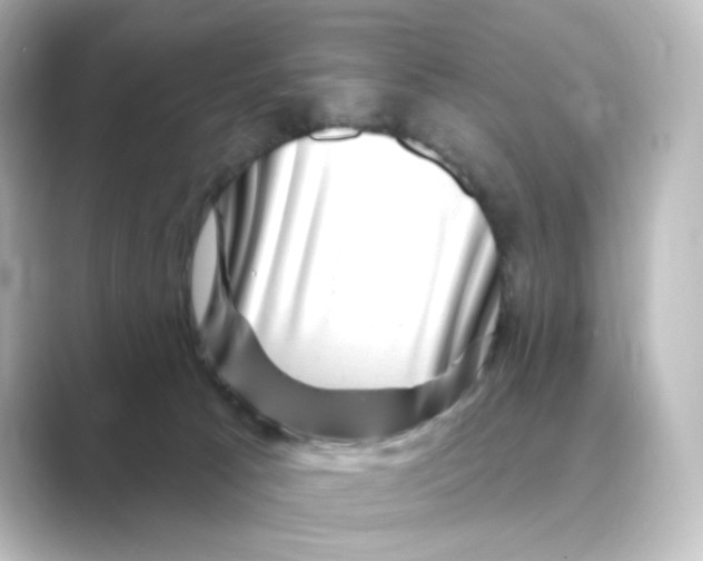 X0000088730033200706212047