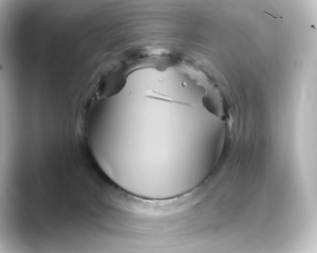 X0000088730035200706212047