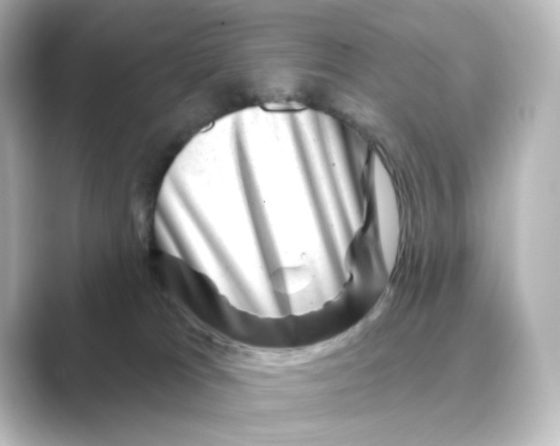 X0000088730037200706212047