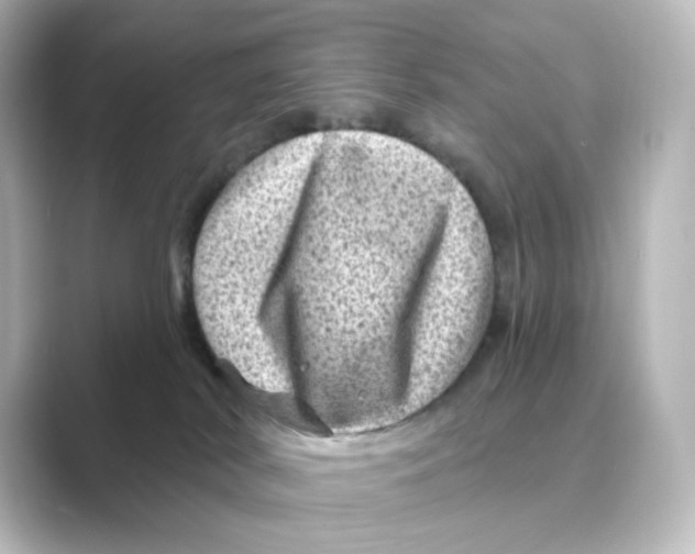 X0000088730038200706212047