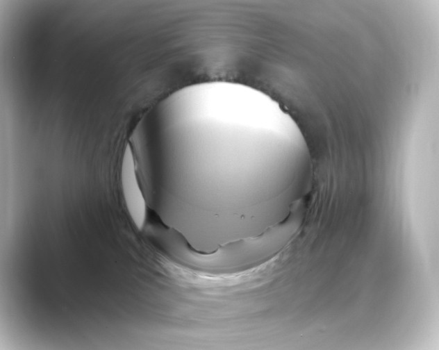 X0000088730039200706212047