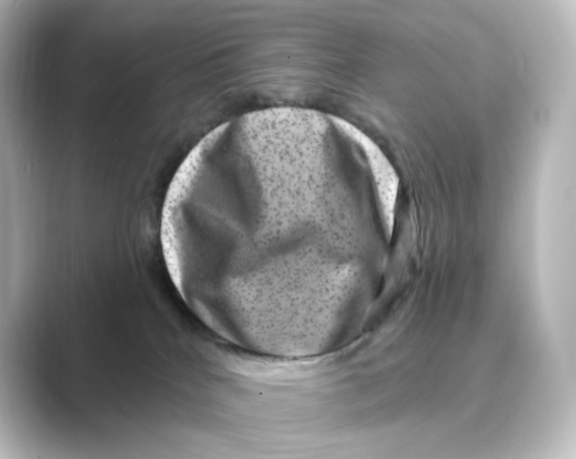 X0000088730040200706212047