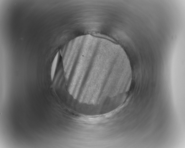 X0000088730041200706212047