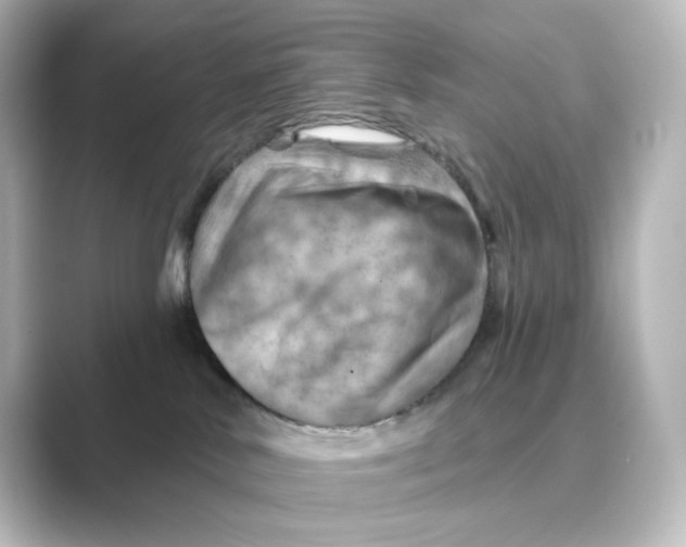 X0000088730042200706212047