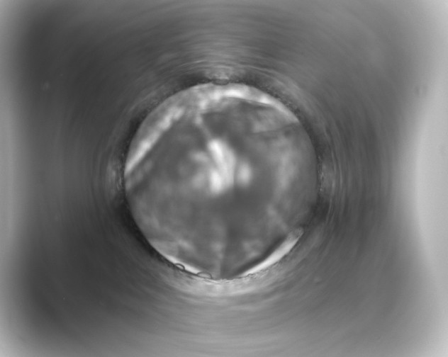 X0000088730043200706212047