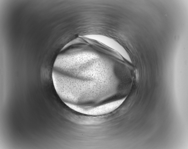 X0000088730044200706212047