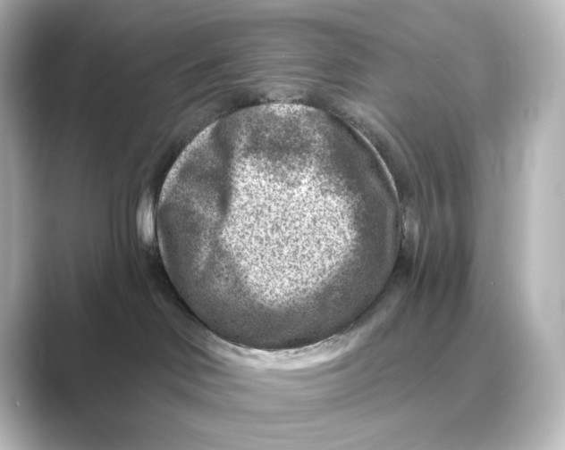 X0000088730046200706212047