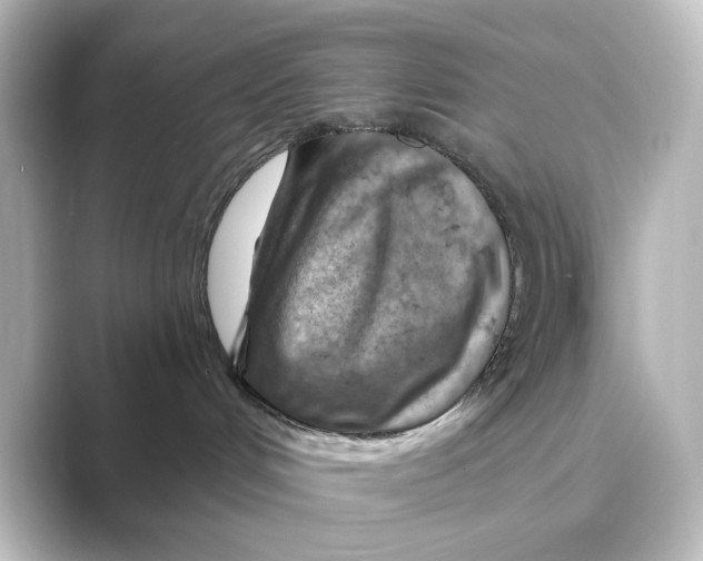 X0000088730048200706212047